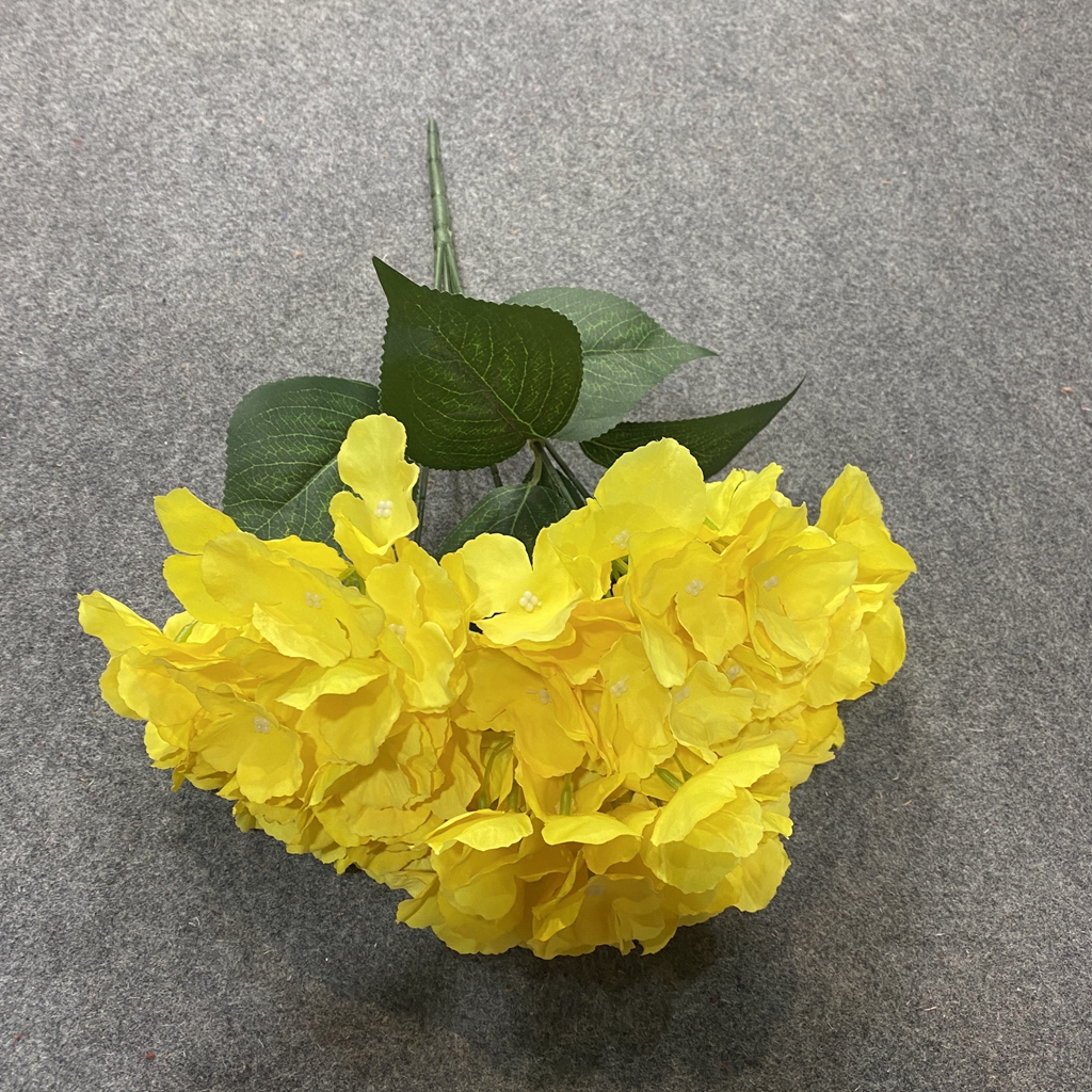 Giallo