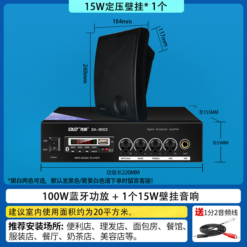Amplificador de 100W y 1 altavoz A2 de pared