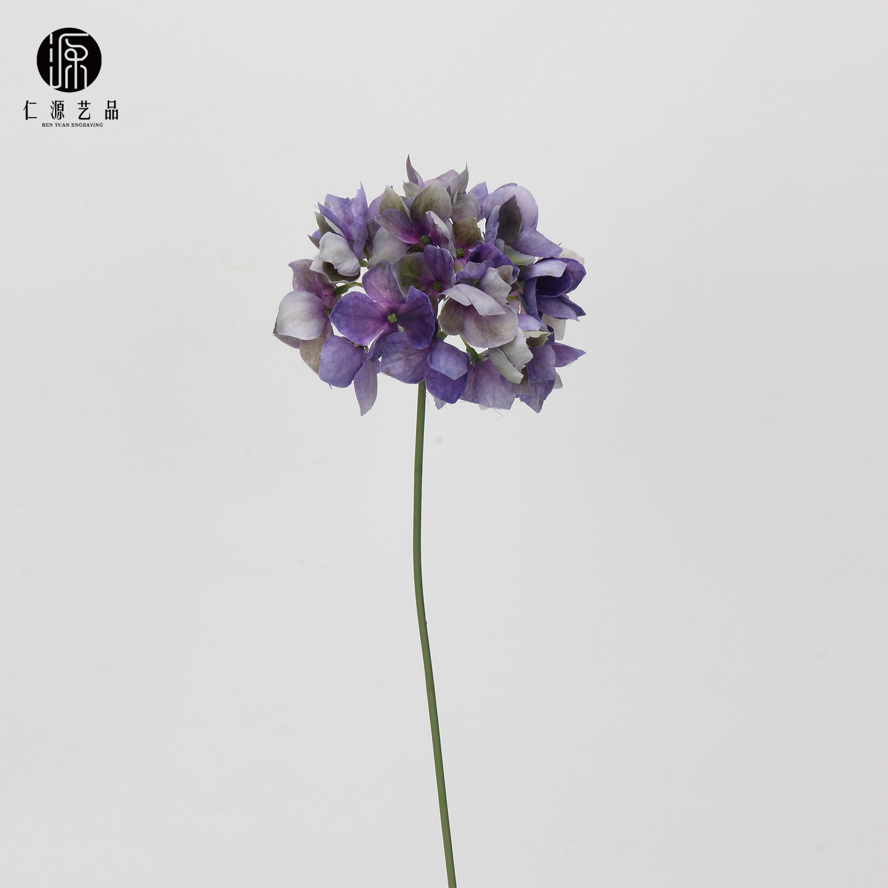 Violet-réservation requise