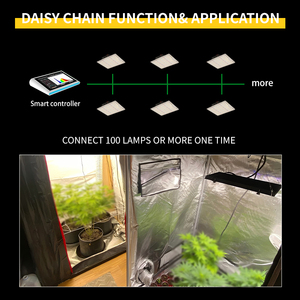 ไฟส่องสว่าง LED สำหรับปลูกผักกาดหอม110W 220W 450W 600W - Product Image 4