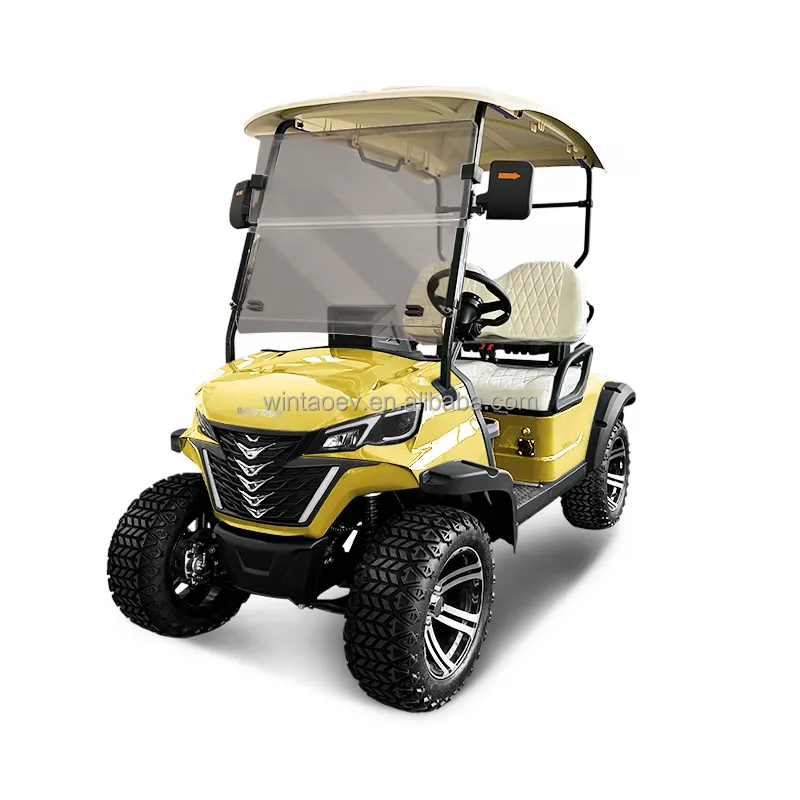 Customized New Design 2 Seater Electric Golf Cart 72V