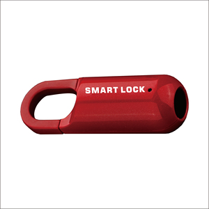 Yüksek kaliteli anahtarsız parmak izi asma kilit elektrikli kapı kilidi/asma kilit parmak izi - Product Image 2