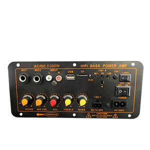 D300W Single <strong>Output</strong> Home Amplifier with <strong>Bluetooth</strong> Radio USB TF Dual MIC <strong>Input</strong> Remote Control DC 12V/24V &amp; AC 220V Power Supply - Product Image 3
