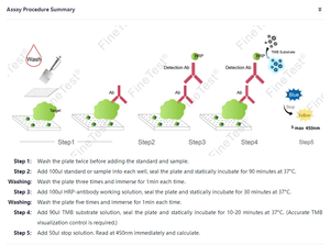 Finetest Rat HbA1C Glycosylated Hemoglobin/ Hemoglobin A1c ELISA seti - Product Image 4