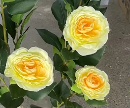 สีเหลือง