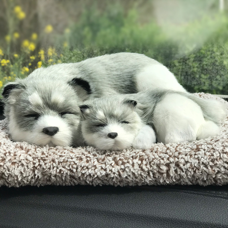 Husky mère et enfant pose-200g de nano cristaux minéraux