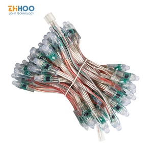 Adressierbare LED Pixel Lichterkette Ws2811 12V 24V 12mm Outdoor Weihnachts dekoration Pixel Light Controller - Product Image 1