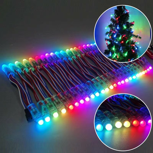 Adressable DC5V <strong>LED</strong> <strong>Pixel</strong> Modules IP68 Smart 12V Digital Smart Light String <strong>LED</strong> <strong>Pixel</strong> 12MM - Product Image 2