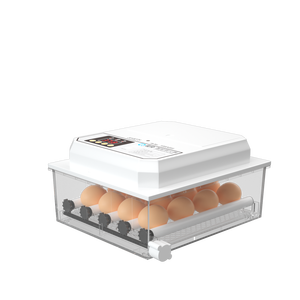 インテリジェント温度卵デジタル小型マイクロコンピューターコントローラーインキュベーター - Product Image 1