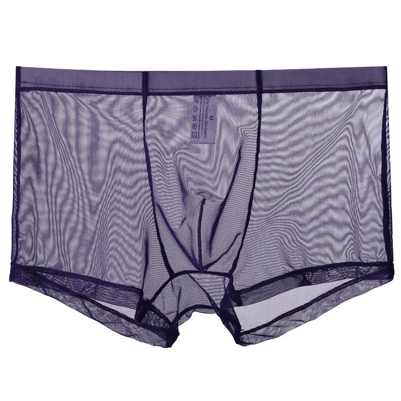Purple Thin Sheer Mesh Boxer Brief