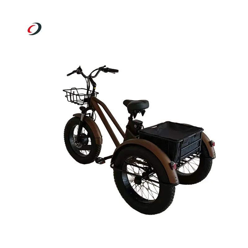 750w Мощный Bafang задний мотор Электрический трехколесный велосипед 3 колеса e делать трайк трехколесный грузовой велосипед с толстыми покрышками электрического трехколесного велосипеда
