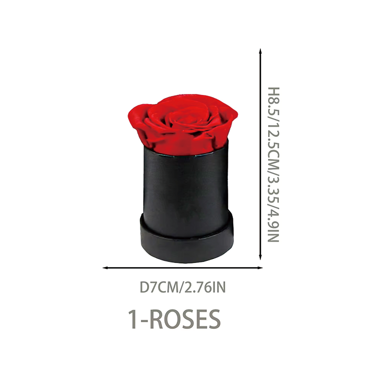 1 Roses In Round Box