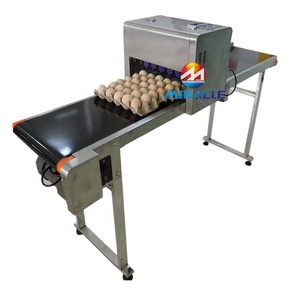 Advance 6 Reihen Ei Inkjet Datums codierer Maschine Ei Inkjet Druckmaschine in niedrigen Preis