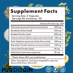 OEM Dandelion ekstrak akar Burdock suplemen detoksifikasi limfatik kapsul pembersih kesehatan 60 Kapsul Vegetarian - Product Image 3