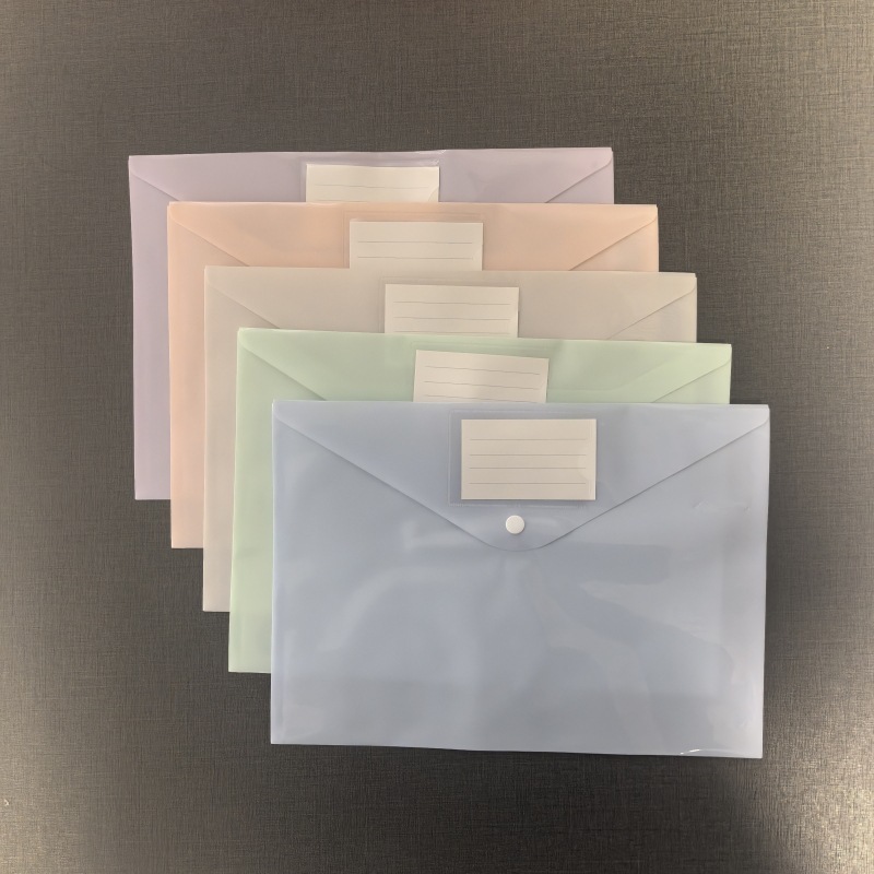 Multi color mixed semi transparent label file bag
