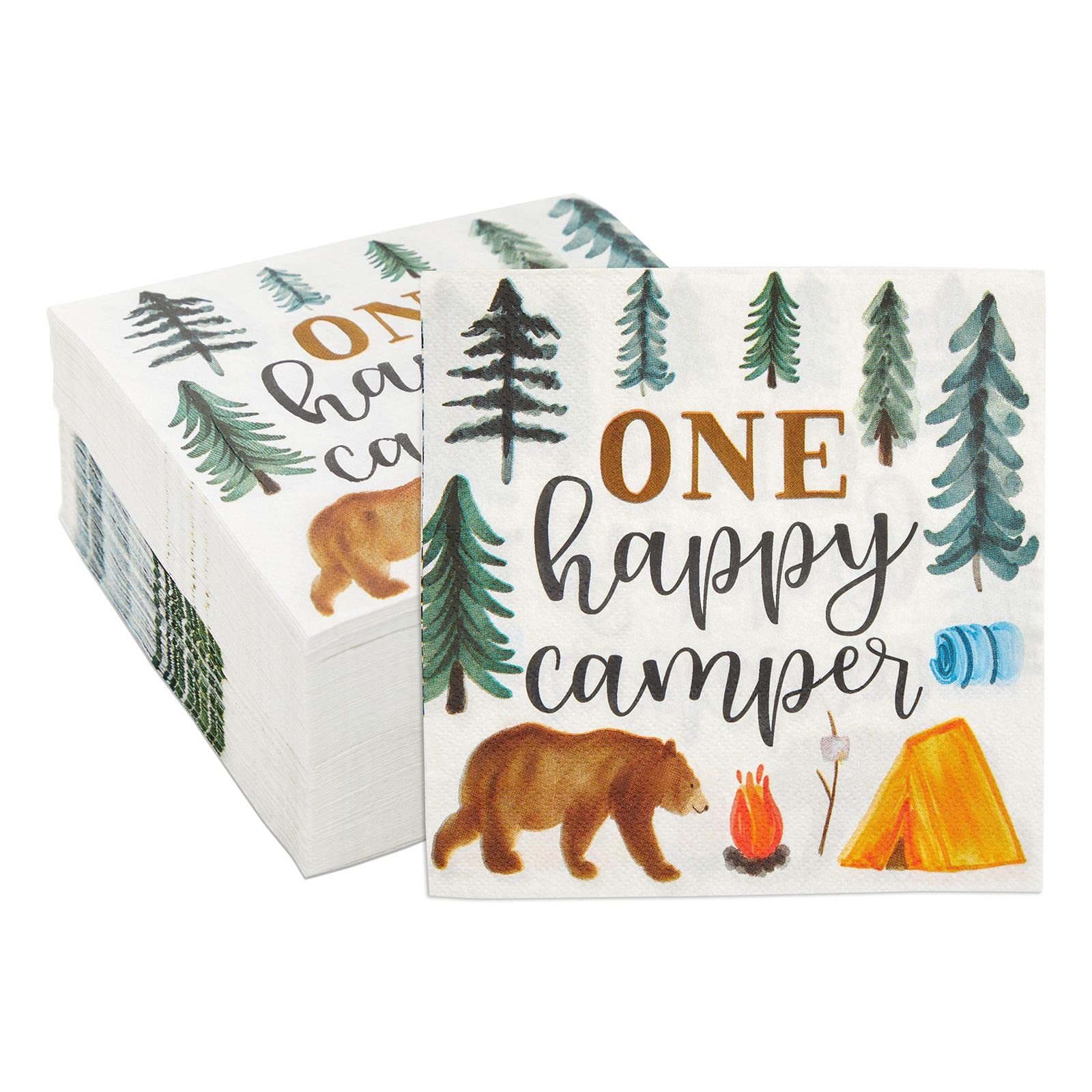 Camping Adventure