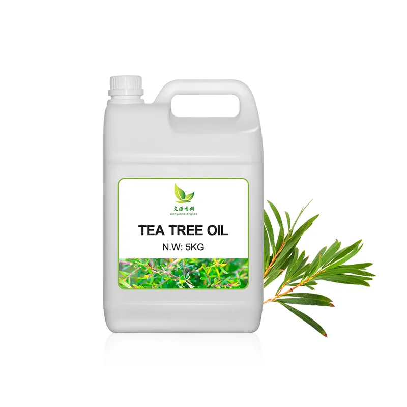 100% чистое эфирное масло оптом экспортная цена может быть настроена этикетка оптом эфирное масло чайного дерева Косметика ароматерапия диффус
