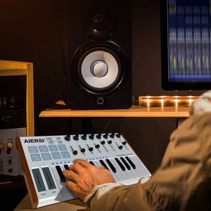 Factory Supply 25 Key Basic Arranger <strong>MIDI</strong> <strong>Keyboard</strong> Music <strong>Keyboard</strong> Mini Synthes - Product Image 1