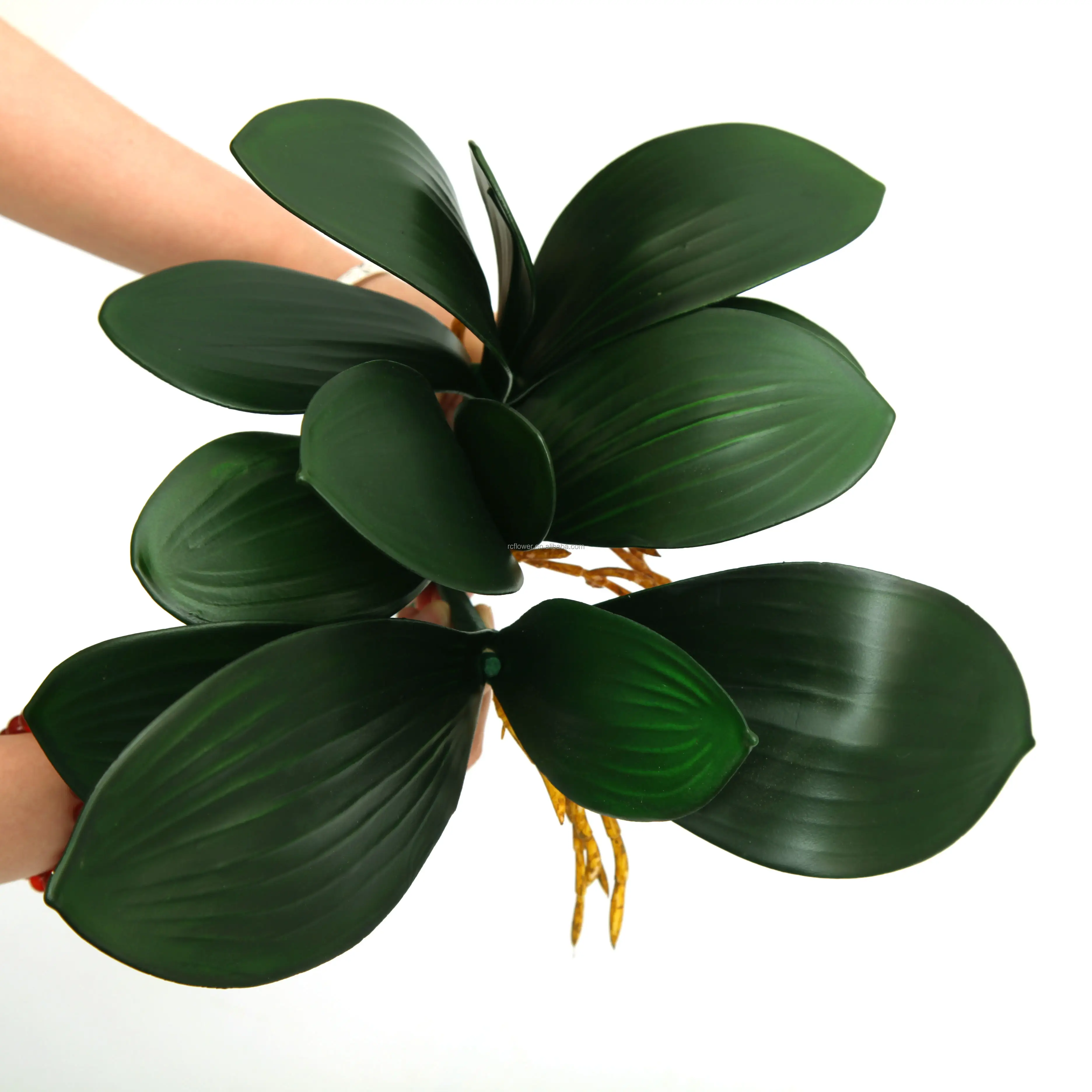 TCF Arrangement floral toucher réel feuilles plante artificielle EVA orchidée fleur phalaenopsis feuilles