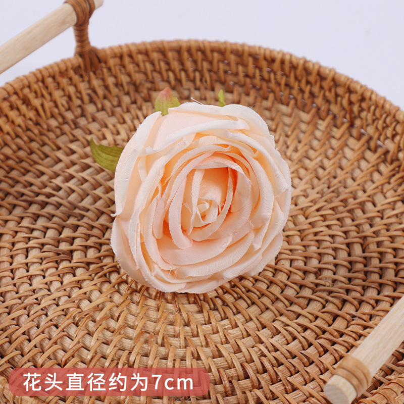 Champagne Rose Royale