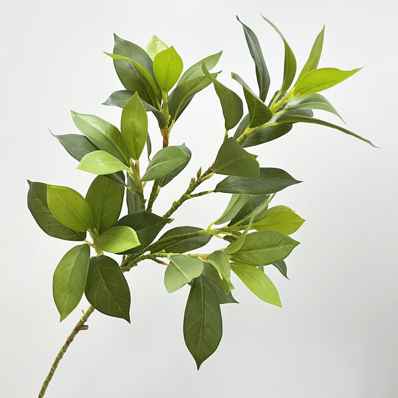 Verde-04