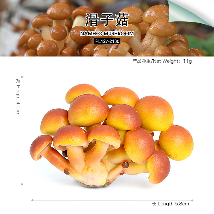 2130 Pholiota nameko Nameko mushroom
