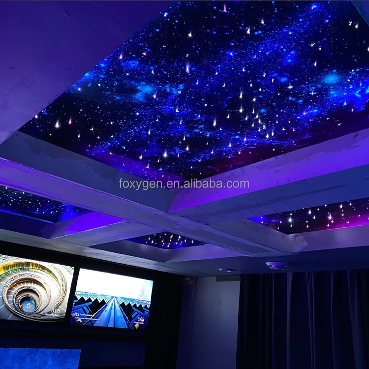 Cielo estrellado techo de estrellas