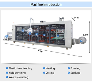 DB-42/68 Thiết Kế Hiện Đại Nhựa Chậu Hoa Làm PP Tấm Thermoforming 2Mm Thermoforming Bát Máy - Product Image 5