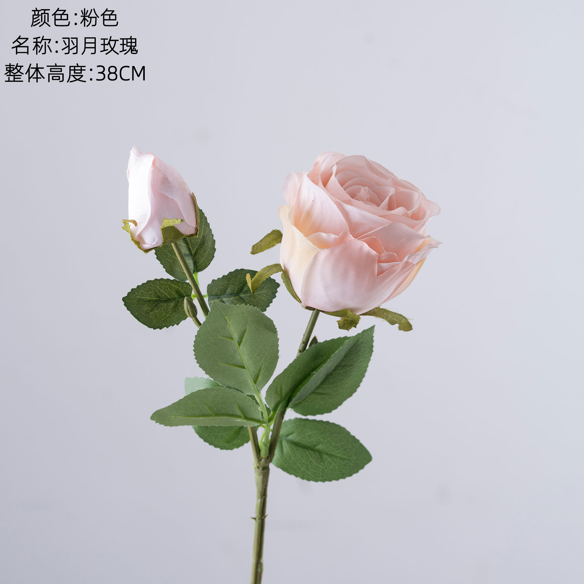 สีชมพู