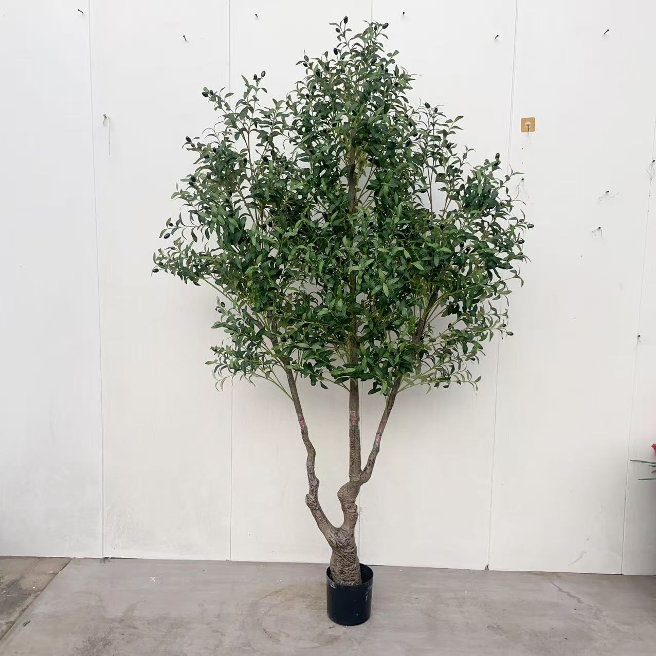 Verde, 230 cm, estilo estándar.