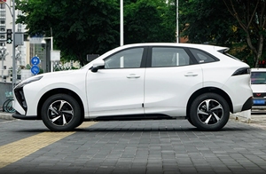 Dongfeng חובר חשמלי במהירות גבוהה ליציאה מכוניות אנרגיה חדשות עם מושבי עור r19 מושבים