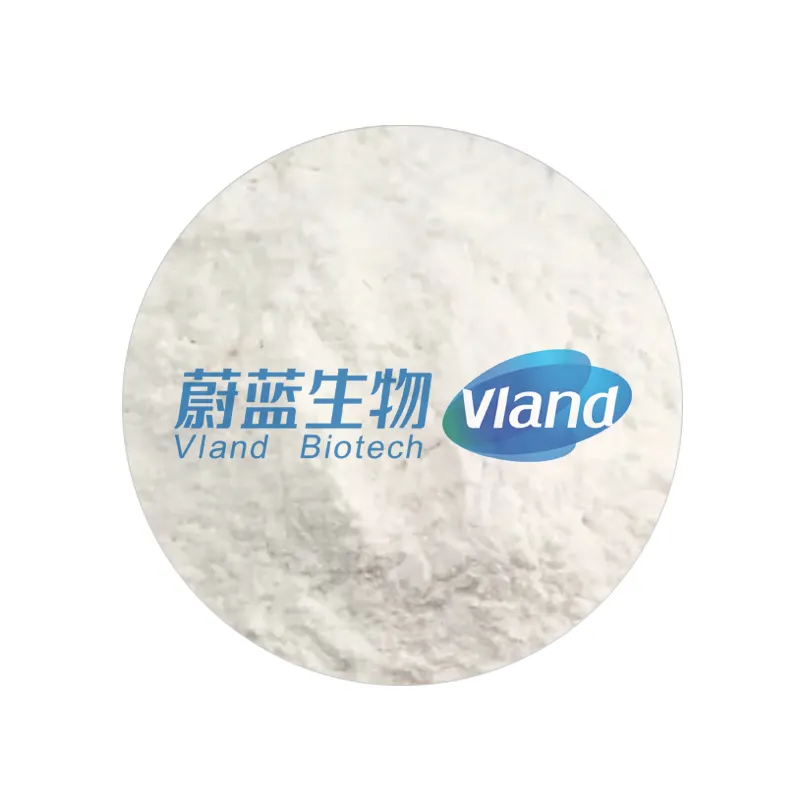 Transglutaminase aditivo alimentar TG enzima CAS 80146-85-6