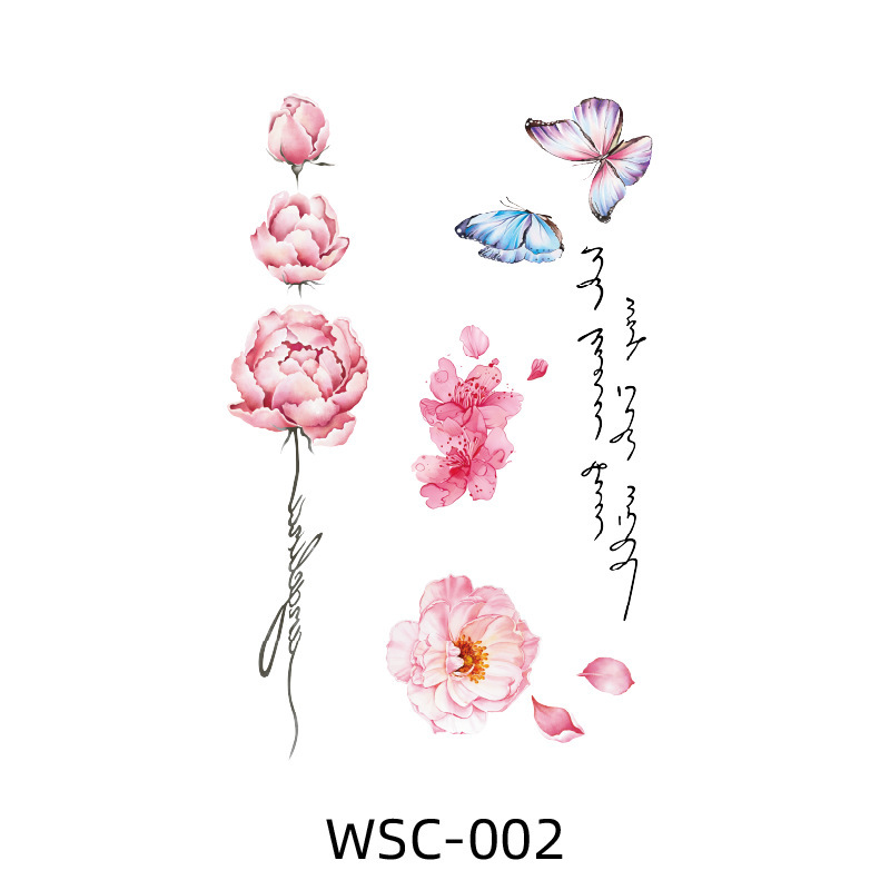 Wsc-002