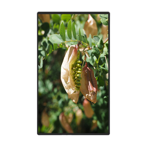 15,6 дюймов настенное крепление IPS A + панель монитора Android Touch LCD Digital Signage экран для магазина рекламный дисплей видео - Product Image 1
