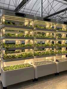 2023 planta casera automática tecnología inteligente computadora de jardinería inteligente Mini invernadero sistemas de cultivo de vegetales hidropónicos - Product Image 5