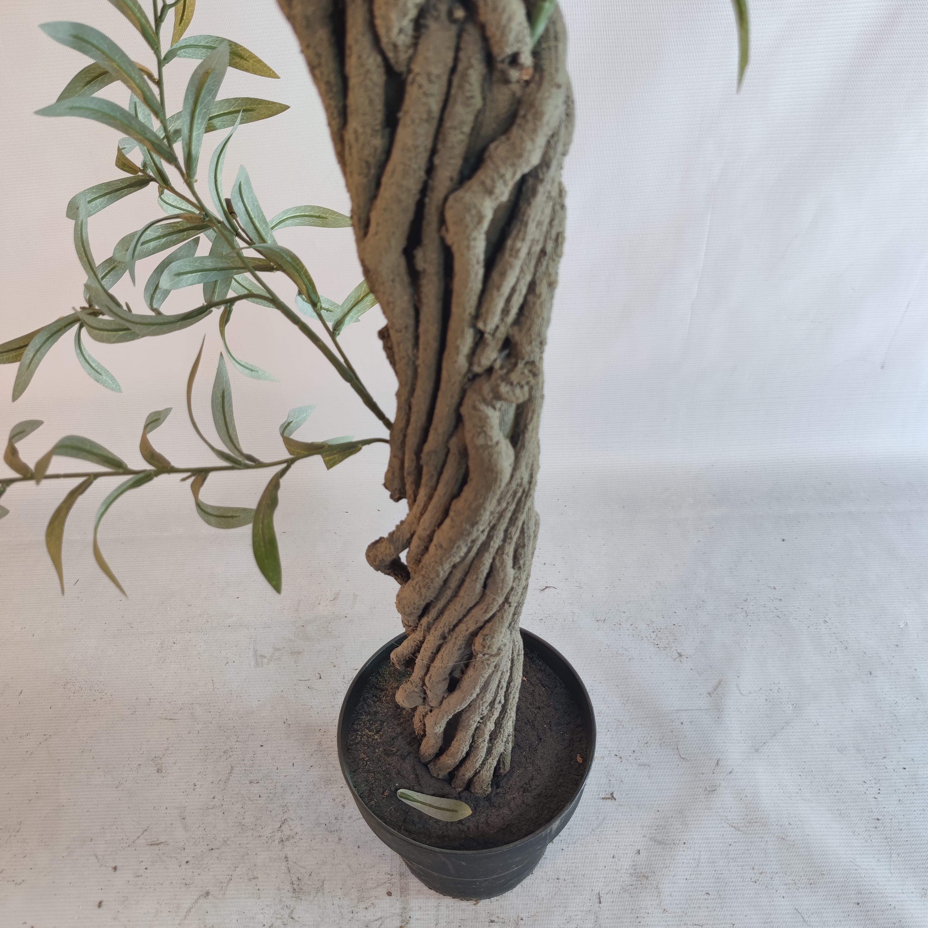 UNE vigne en forme de pôle