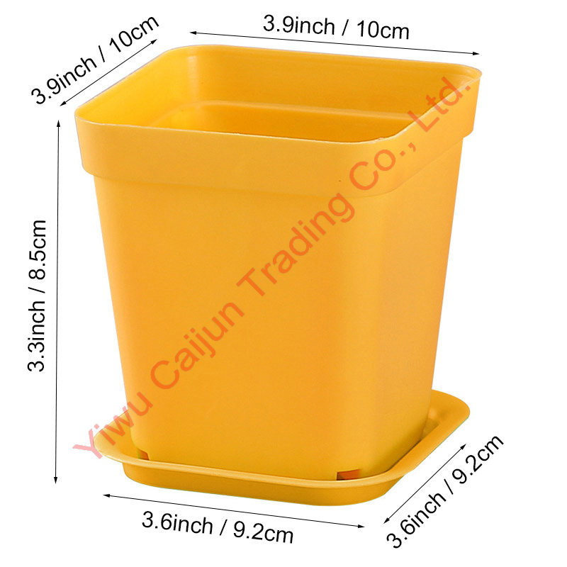 Amarillo grande