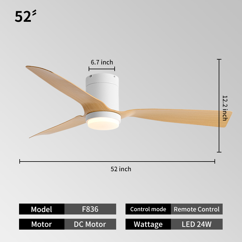 ABS 52-inch