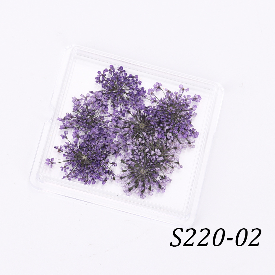 S220-02