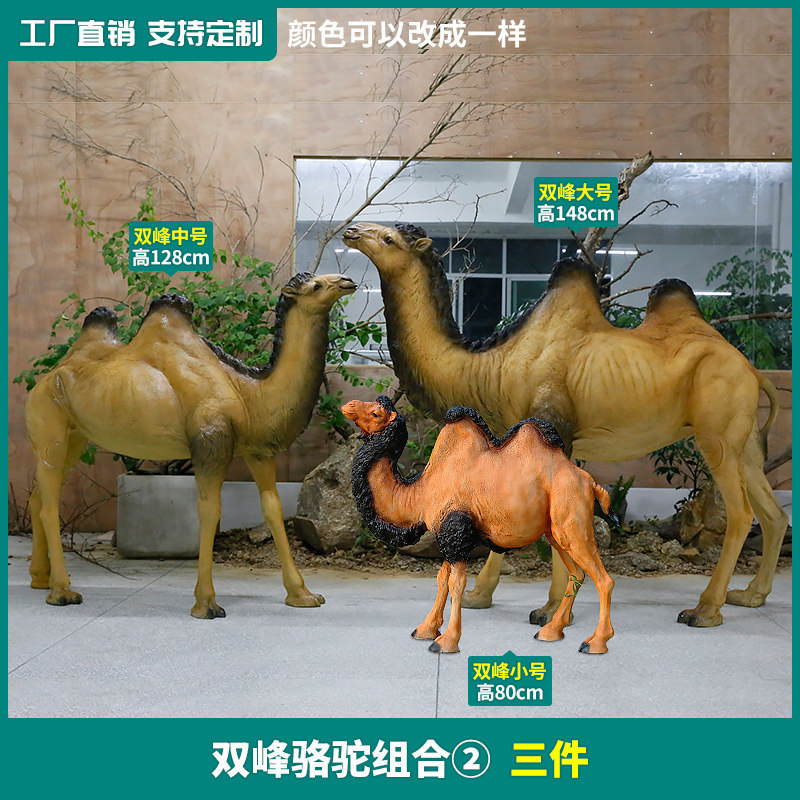 Bactrian camel set of 3