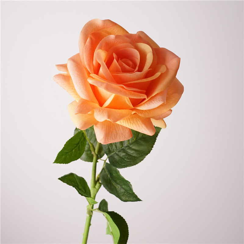 Naranja claro