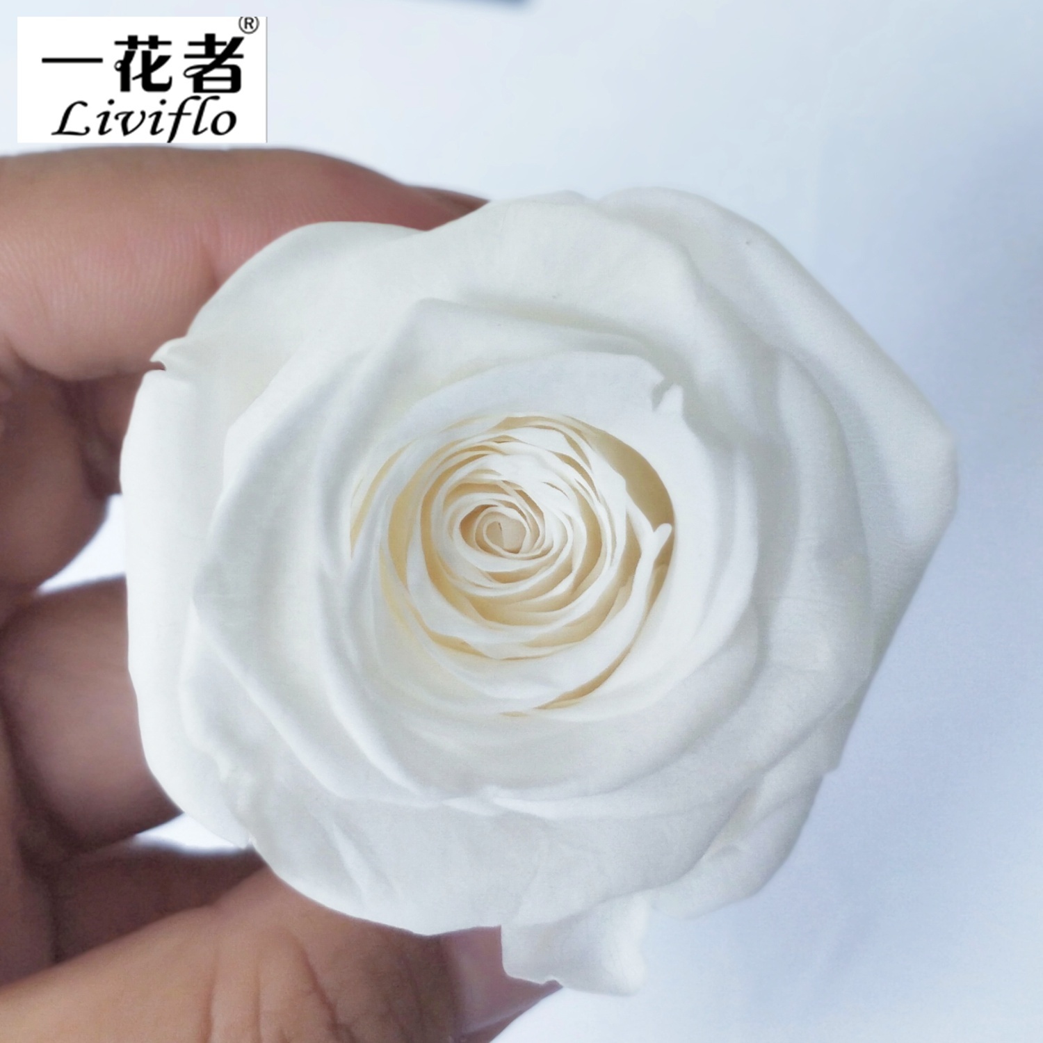 Blanco