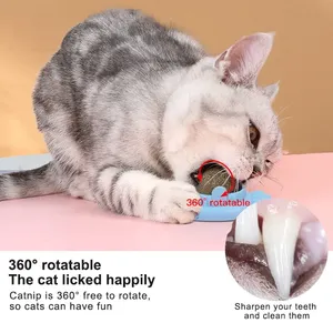 Personalizar Logo Gato Juguete Catnip Bola Zanahoria Forma Pared Gato Lamiendo Piruleta Relajación Gato Catnip Juguete - Product Image 5