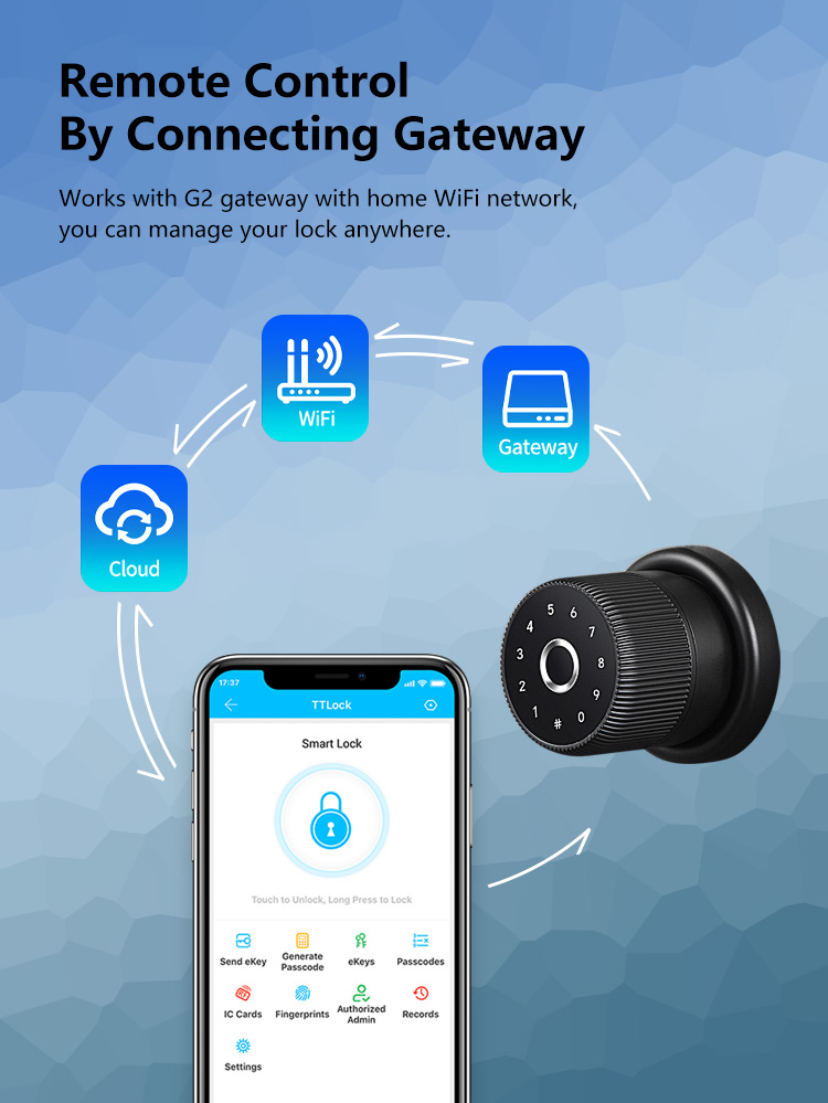 Luxury TTlock APP Digital Door Knob Rfid Card Key Digit Fingerprint Smart Lock