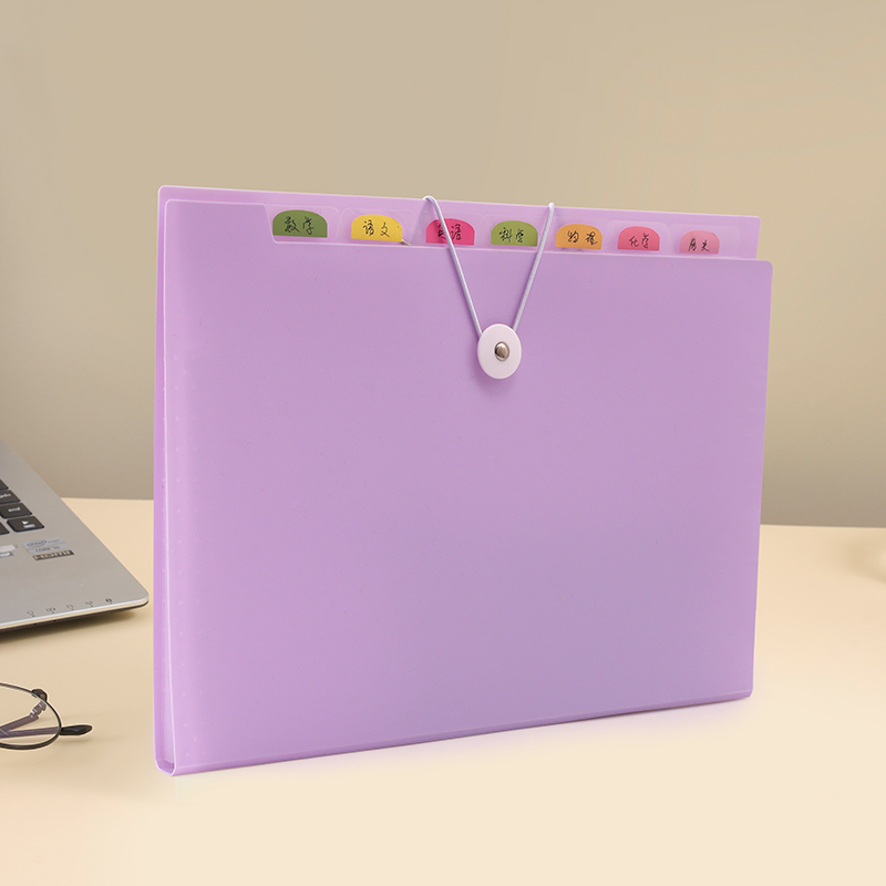 Purple-5-pocket accordion bag