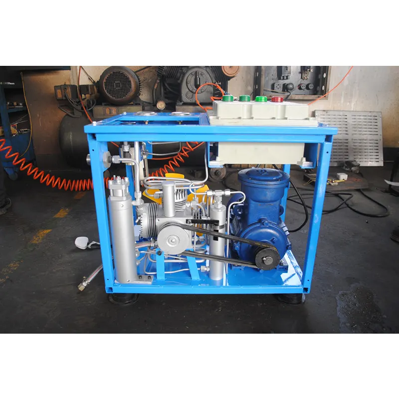 China Industriële Machines Mini Cng Vulcompressor Thuis Cng Compressor Voor Tankstation (Bxcngg6)