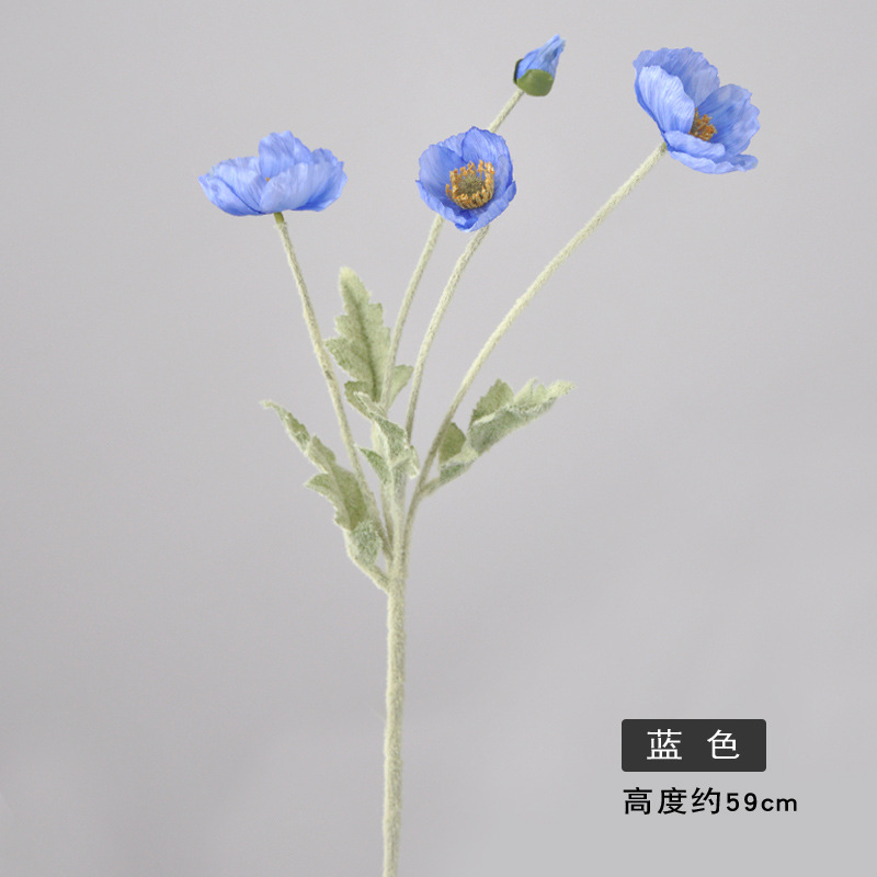 Bleu