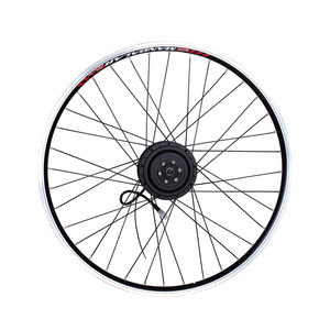 صغير 36 فولت 350 واط فرش ebike تيار مستمر الجبهة محور المحرك الكهربائي