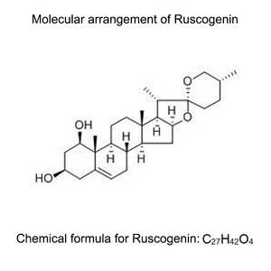 ผงสมุนไพรสกัดจากราก20% Ruscus aculeatus สกัดจากไม้กวาด - Product Image 3