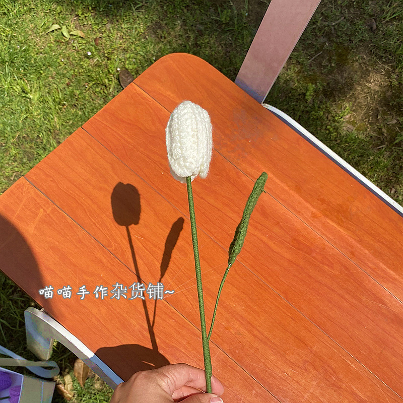 Tulipano singolo bianco